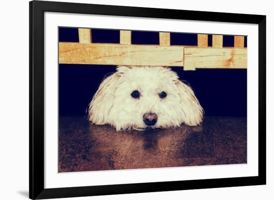 Resting under the Gate - Retro-SHS Photography-Framed Photographic Print