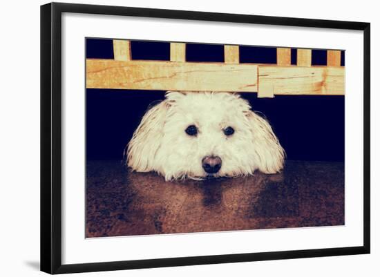 Resting under the Gate - Retro-SHS Photography-Framed Photographic Print