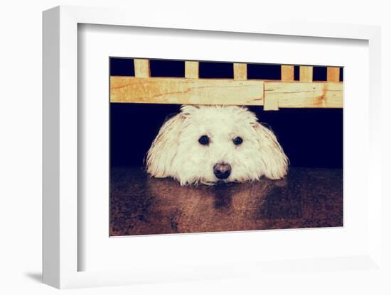 Resting under the Gate - Retro-SHS Photography-Framed Photographic Print