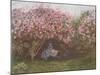 Resting Under the Lilac-Claude Monet-Mounted Collectable Print