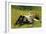 Resting-Charles Payne-Framed Giclee Print