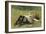 Resting-Alexander Stuart Boyd-Framed Giclee Print