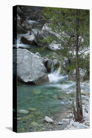 Restonica River, Gorges De La Restonica, Corte, Corsica, France-Walter Bibikow-Stretched Canvas