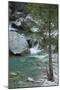 Restonica River, Gorges De La Restonica, Corte, Corsica, France-Walter Bibikow-Mounted Photographic Print