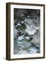 Restonica River, Gorges De La Restonica, Corte, Corsica, France-Walter Bibikow-Framed Photographic Print