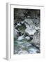 Restonica River, Gorges De La Restonica, Corte, Corsica, France-Walter Bibikow-Framed Photographic Print