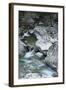 Restonica River, Gorges De La Restonica, Corte, Corsica, France-Walter Bibikow-Framed Photographic Print