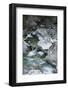 Restonica River, Gorges De La Restonica, Corte, Corsica, France-Walter Bibikow-Framed Photographic Print