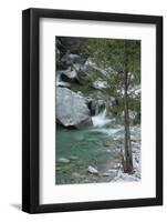 Restonica River, Gorges De La Restonica, Corte, Corsica, France-Walter Bibikow-Framed Photographic Print