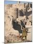 Restoration Work, Arg-E Bam, Bam, Unesco World Heritage Site, Iran, Middle East-David Poole-Mounted Photographic Print