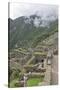 Restoration work at the Inca ruins of Machu Picchu, UNESCO World Heritage Site, Peru, South America-Julio Etchart-Stretched Canvas