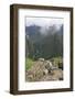 Restoration work at the Inca ruins of Machu Picchu, UNESCO World Heritage Site, Peru, South America-Julio Etchart-Framed Photographic Print