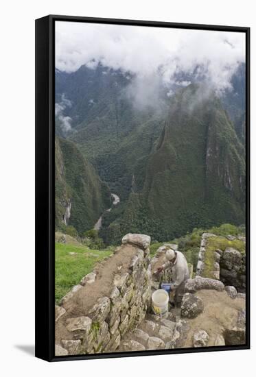 Restoration work at the Inca ruins of Machu Picchu, UNESCO World Heritage Site, Peru, South America-Julio Etchart-Framed Stretched Canvas