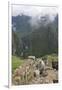 Restoration work at the Inca ruins of Machu Picchu, UNESCO World Heritage Site, Peru, South America-Julio Etchart-Framed Photographic Print