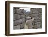 Restoration work at the Inca ruins of Machu Picchu, UNESCO World Heritage Site, Peru, South America-Julio Etchart-Framed Photographic Print