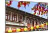 Restored and Colourfully Painted Old Shophouses in Chinatown, Singapore, Southeast Asia, Asia-Fraser Hall-Mounted Photographic Print