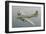 Restored B17F Flying Fortress-null-Framed Art Print