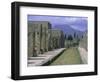 Restored Buildings in Roman Town Buried in Ad 79 by Ash Flows from Mount Vesuvius, Campania, Italy-Anthony Waltham-Framed Photographic Print