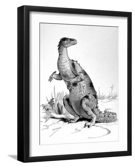 Photographic Print, , large