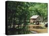 Restored Mill Near Riley in Monroe County, Southern Alabama, USA-Robert Francis-Stretched Canvas