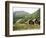 Restored Old Farm Buildings Near Loen, Olden, Norway, Scandinavia-Richard Ashworth-Framed Photographic Print