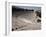 Restored Theatre, Epidaurus, Unesco World Heritage Site, Greece-Jack Jackson-Framed Photographic Print