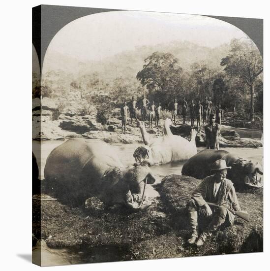 Result of a Morning's Hippopotamus Hunt on Mlembo River, Rhodesia, Africa, 1910-Keystone View Company-Stretched Canvas