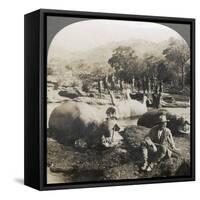 Result of a Morning's Hippopotamus Hunt on Mlembo River, Rhodesia, Africa, 1910-Keystone View Company-Framed Stretched Canvas