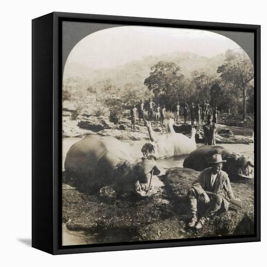 Result of a Morning's Hippopotamus Hunt on Mlembo River, Rhodesia, Africa, 1910-Keystone View Company-Framed Stretched Canvas