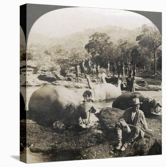 Result of a Morning's Hippopotamus Hunt on Mlembo River, Rhodesia, Africa, 1910-Keystone View Company-Stretched Canvas