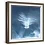 Resurgence-Jacob Berghoef-Framed Photographic Print