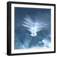 Resurgence-Jacob Berghoef-Framed Premium Photographic Print