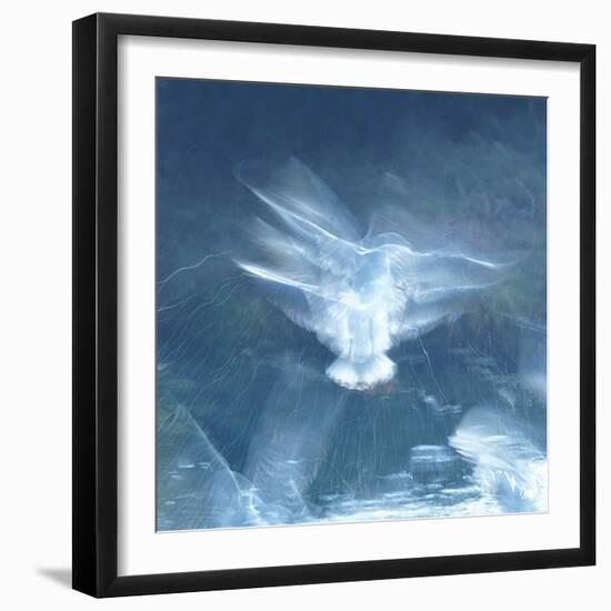 Resurgence-Jacob Berghoef-Framed Premium Photographic Print