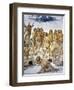 Resurrection of Flesh, from Last Judgment Fresco Cycle, 1499-1504-Luca Signorelli-Framed Giclee Print