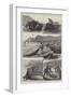 Reta-Fishing on the Corsican Coast-null-Framed Giclee Print