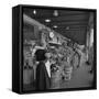 Retail Vegetable Markets Line the Decatur Street Side of the French Market-null-Framed Stretched Canvas