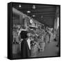 Retail Vegetable Markets Line the Decatur Street Side of the French Market-null-Framed Stretched Canvas