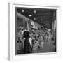 Retail Vegetable Markets Line the Decatur Street Side of the French Market-null-Framed Premium Photographic Print