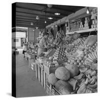 Retail Vegetable Markets Line the Decatur Street Side of the French Market-null-Stretched Canvas