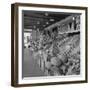 Retail Vegetable Markets Line the Decatur Street Side of the French Market-null-Framed Photographic Print