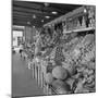 Retail Vegetable Markets Line the Decatur Street Side of the French Market-null-Mounted Photographic Print