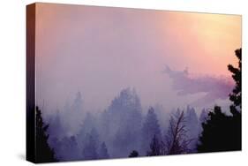 Retardent Drops over Forest Fire-Bob Nichols-Stretched Canvas