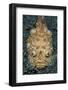 Reticulate Stargazer (Uranoscopus Sp.)-Alex Mustard-Framed Photographic Print