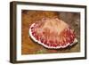 Reticulated Chromdoris-Hal Beral-Framed Photographic Print