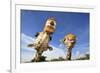 Reticulated Giraffe (Giraffa camelopardalis reticulata) two adults, close-up of heads, captive-Jurgen & Christine Sohns-Framed Photographic Print