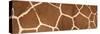 Reticulated Giraffe Markings-null-Stretched Canvas