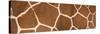 Reticulated Giraffe Markings-null-Stretched Canvas