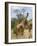 Reticulated Giraffe, Meru National Park, Kenya, East Africa, Africa-Pitamitz Sergio-Framed Photographic Print