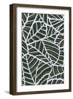 Reticulated Leaf Patterns-null-Framed Art Print