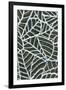 Reticulated Leaf Patterns-null-Framed Art Print